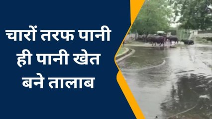 हमीरपुर : तीन दिनों से हो रही बारिश से जनजीवन अस्त व्यस्त, ग्रामीण व शहरी क्षेत्रों में भरा पानी