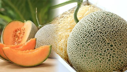 World Most Expensive Fruit Yubari Melon 1KG का Price जानकर Shock हो जाएंगे | Boldsky