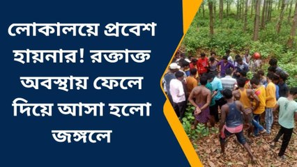 পশ্চিম মেদিনীপুর: &#039;হিংস্র মানুষ&#039; পিটিয়ে মারল হায়নাকে! রক্তাক্ত দেহ ফেলল জঙ্গলে