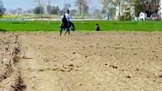 Tent pegging practice | Game of thrill | Cavalry sports | Ancient game
