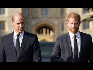 Frères à des kilomètres l'un de l'autre: Harry et William enregistrent des messages séparés pour les