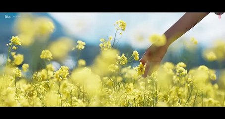 Pasoori Nu SatyaPrem Ki Katha Kartik Kiara Arijit Rochak Ali Tulsi Gurpreet Sajid N Sameer