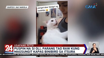 24 Oras Weekend Part 3: Masungit na pusa, dog station sa mall, noontime plot twist, atbp.