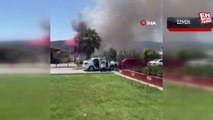 İzmir'deki sazlık alanda yangın çıktı