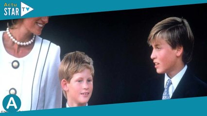Diana : quel héritage a-t-elle laissé à William et Harry ?