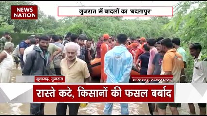 Gujarat News : Jetpur में बाढ़ में 25 से ज्यादा गायें बह गयी