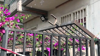 Sparatoria nel rione Nesima a Catania.