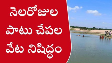 పెదకూరపాడు: నెలరోజులపాటు చేపల వేట నిషిద్ధం... ఎందుకంటే?