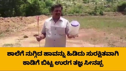 ಶಾಲೆಗೆ ನುಗ್ಗಿದ ನಾಗರಹಾವು: ರಕ್ಷಿಸಿದ ಉರಗ ತಜ್ಞ