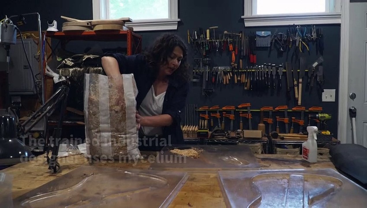 Meet the French luthier making music out of mushrooms