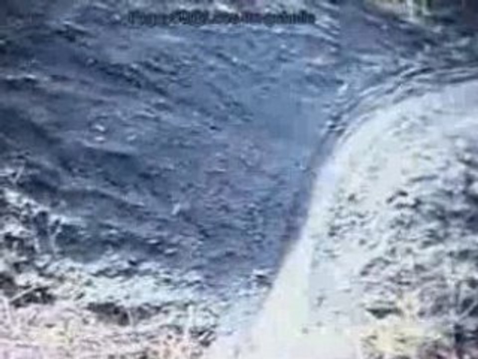 VTT TERRIL FOGGY59@Loos-en-gohelle