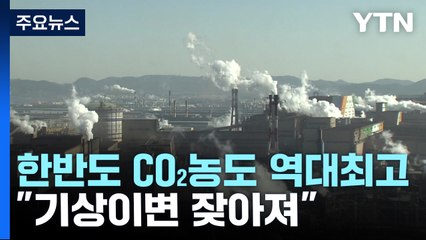 유난히 기상이변 잦더니...한반도 CO₂ 농도 역대 최고 / YTN