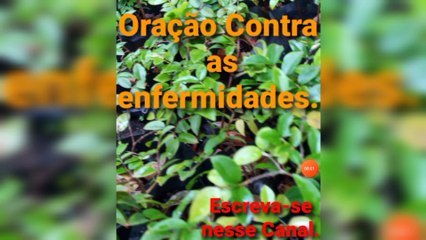 Oração Contra as enfermidades. Deus é Fiel.