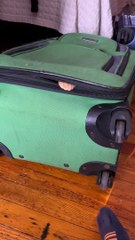 Suitcase Cat Stowaway