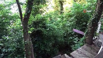 Kayalıklardan düşen genci kurtaran ekipler trenle hastaneye yetiştirdi
