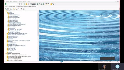 Display Outbound Delivery