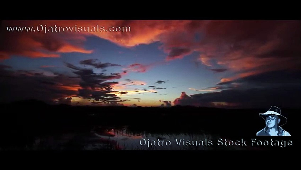 Pythons vs Wildfire 04 Footage