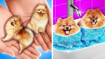 Rich Girl Saved A Street Dog || Makeover Of Homeless Puppy! Must-Have Hacks x Gadgets By 123 Go!