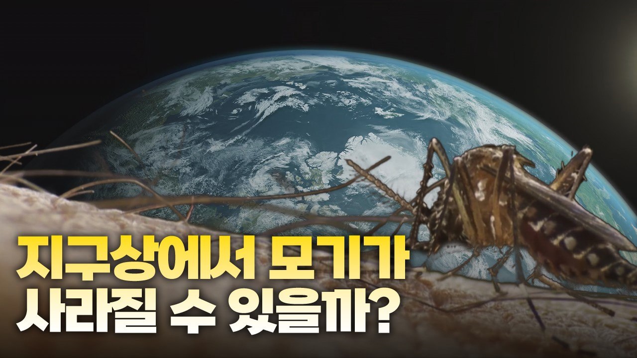 [왓슈] 여름철 불청객 모기, 박멸 가능할까? / YTN