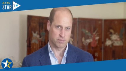 William et Harry unissent leurs forces pour l'héritage de leur maman Diana... mais pas trop quand mê