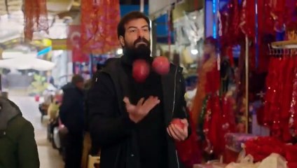 61. Estrella de Amor (Kuzey Yildizi), en español