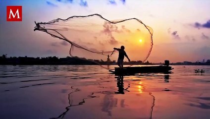 Perrito espera en la playa a su dueño pescador que falleció hace años