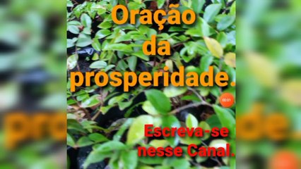 Oração da prosperidade. Bênçãos de Deus.