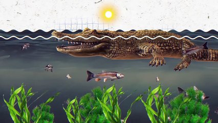 Animals That Nature Has Treated Unfairly