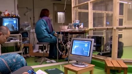 Proof That Animals Are Getting Smarter