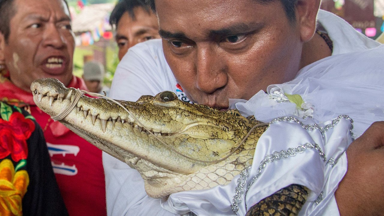 Alcalde mexicano contrae matrimonio con un caimán hembra en un ritual ancestral