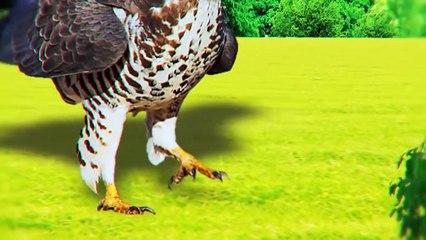 This Is What Happens to Birds of Prey When They Refuse to Kill