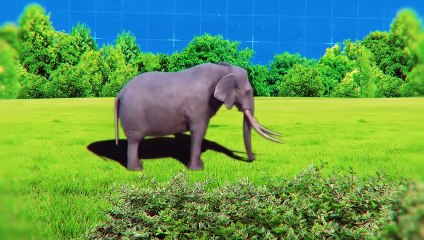 Why Do Elephants Destroy Trees