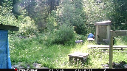 Trail Camera Photos - February  – June 2023