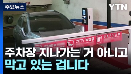 '도 넘는' 무개념 행동...현실은 처벌보다 많은 '방치' / YTN