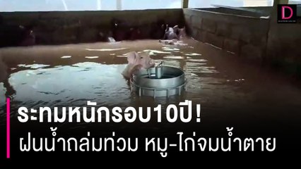 ระทมหนักรอบ10ปี! สาวใหญ่ชอกช้ำ ฝนถล่มหนักน้ำท่วมคอกหมู-ไก่จมน้ำตาย | HOTSHOT เดลินิวส์ 02/07/66