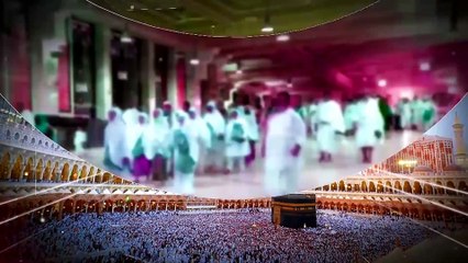 Senangnya Jemaah Haji Indonesia, Nikmati Fasilitas Mobil Golf Gratis 24 Jam