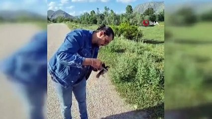 Yaralı bulduğu Kaz Gölü misafirini tedavi ettirdi