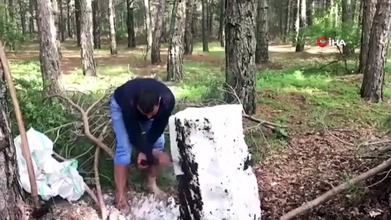 Der in 1150 m Höhe vergrabene Schnee wird behutsam zu den Bänken gebracht.