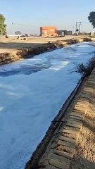 सतलुज-व्यास को नहीं मिली प्रदूषण से मुक्ति