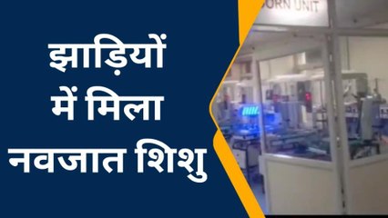 सतना में ममता फिर हुई शर्मसार, झाड़ियों के बीच मिला नवजात शिशु