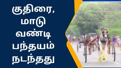 ராம்நாடு:மாட்டு வண்டி,குதிரை வண்டி பந்தயத்தை ரசித்த பார்வையாளர்கள்