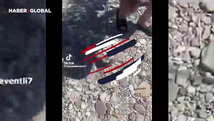 Şaşırtan anlar: Yaban domuzu ile karşılaşan tatilci onu elleri ile besledi