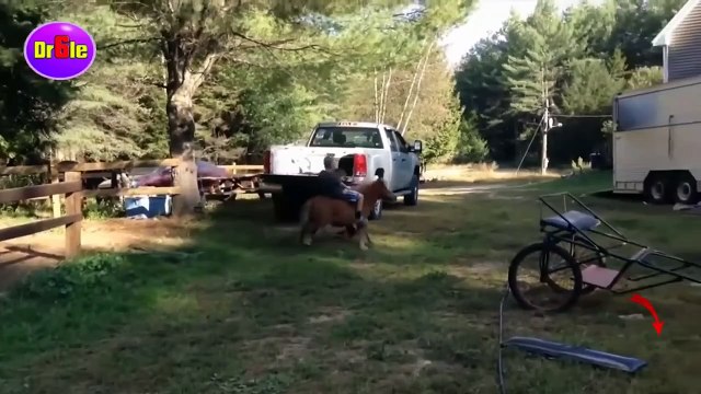 Attan Düşen insanlar - Ata binme kazaları _ Komik Videolar Serisi # 1