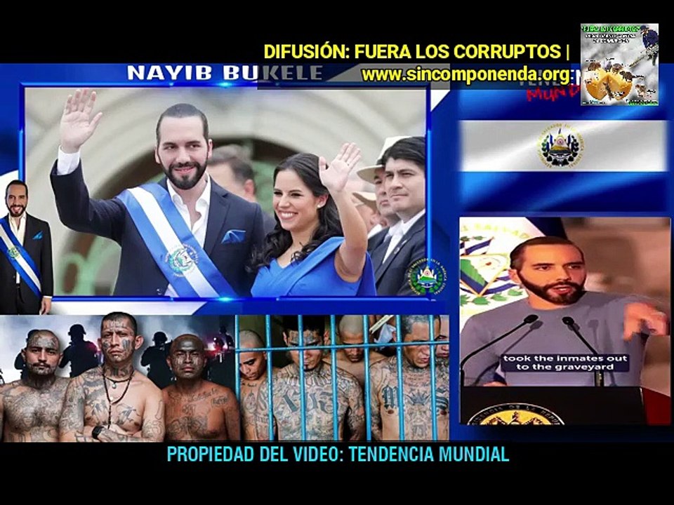 UNA COSA ES SER UN LIDER Y OTRA COSA ES SER JEFE DE ESTADO. EL PUEBLO QUIERE REELEGIRLO, PORQUE SE APRECIA LO QUE HACE