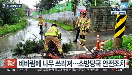밤사이 빗길 교통사고 잇따라…나무 쓰러지고 침수까지