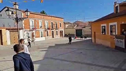 Penúltimo encierro de Traspinedo