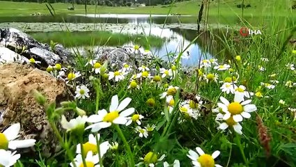 Gölcük yaylasında 6 yaşından beri hayvancılık yapıyor