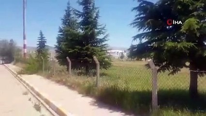 İstanbul-Nevşehir seferi yapan uçak kuş sürüsüne çarptı