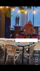 Taglia tavoli di un bar con motosega, 'Troppi rumori molesti'