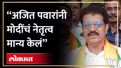 जळगावात भाजपकडून फटाक्यांची आतषबाजी करत जल्लोष...